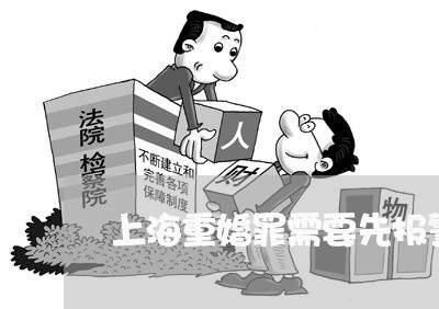 上海重婚罪需要先报警立案吗/2023032162723 上海重婚罪需要先报警立案吗/2023032162723