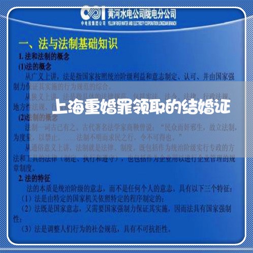 上海重婚罪领取的结婚证/2023041007846