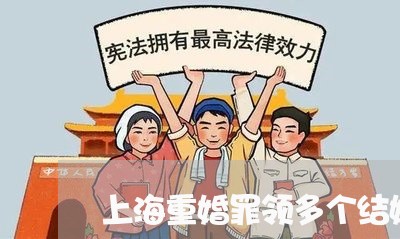 上海重婚罪领多个结婚证/2023021448372 上海重婚罪领多个结婚证/2023021448372