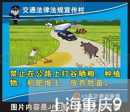 上海重庆9月16日交通事故/2023032109259 上海重庆9月16日交通事故/2023032109259