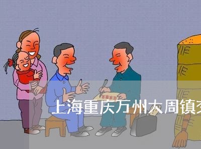 上海重庆万州大周镇交通事故/2023032149481 上海重庆万州大周镇交通事故/2023032149481