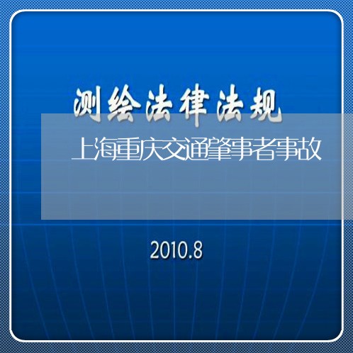 上海重庆交通肇事者事故/2023021519069 上海重庆交通肇事者事故/2023021519069