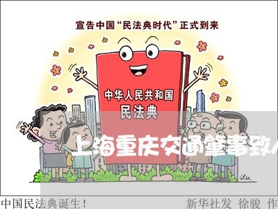上海重庆交通肇事致人死亡/2023030226049 上海重庆交通肇事致人死亡/2023030226049