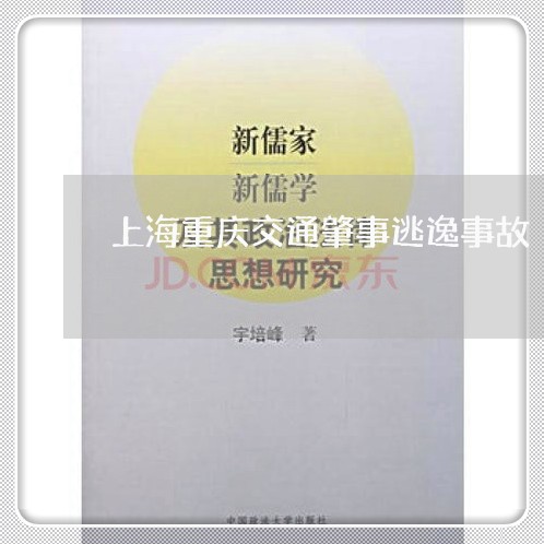 上海重庆交通肇事逃逸事故/2023030251694 上海重庆交通肇事逃逸事故/2023030251694