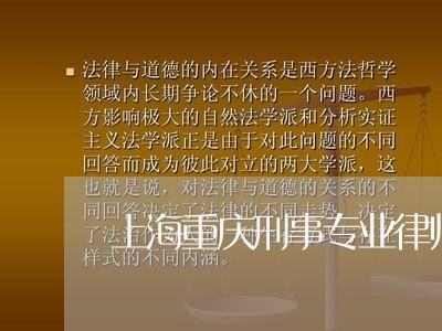 上海重庆刑事专业律师所/2023041030260