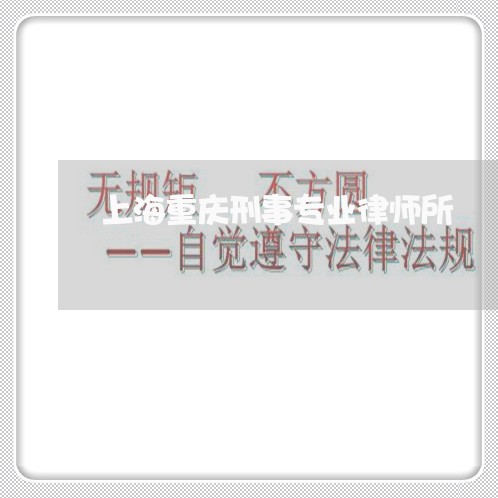 上海重庆刑事专业律师所/2023041059562