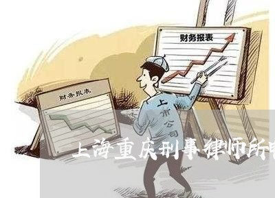 上海重庆刑事律师所电话/2023041001714