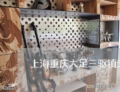 上海重庆大足三驱镇交通事故/2023032150282 上海重庆大足三驱镇交通事故/2023032150282