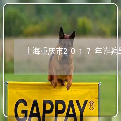 上海重庆市2017年诈骗罪/2023032192025