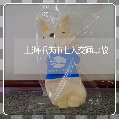 上海重庆市七人交通事故/2023021583603 上海重庆市七人交通事故/2023021583603
