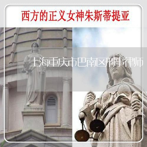 上海重庆市巴南区刑事律师/2023031815069