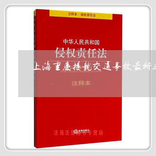 上海重庆接龙交通事故最新进展/2023041506259