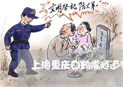 上海重庆白鹤嘴隧道交通事故/2023032138039 上海重庆白鹤嘴隧道交通事故/2023032138039