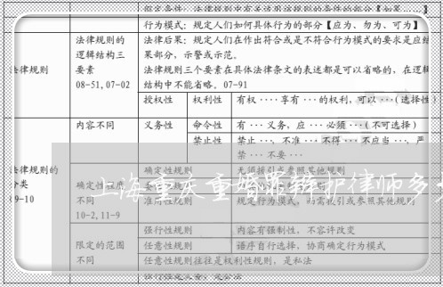 上海重庆重婚罪辩护律师多少钱/2023041500370