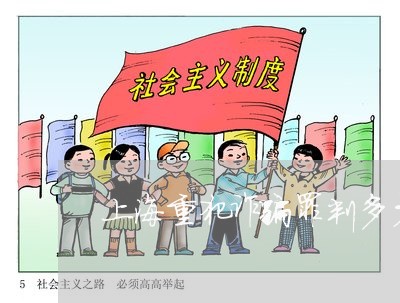 上海重犯诈骗罪判多少年/2023021423049