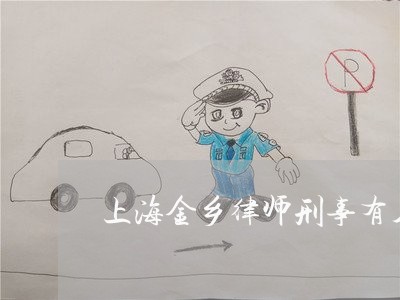 上海金乡律师刑事有名律师/2023030205060 上海金乡律师刑事有名律师/2023030205060