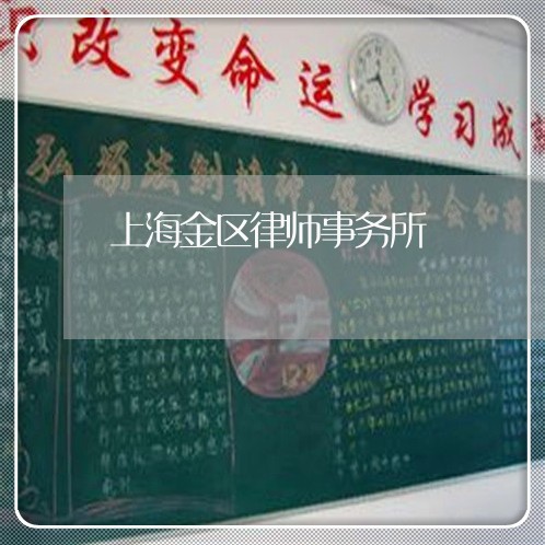 上海金区律师事务所/2023032443813