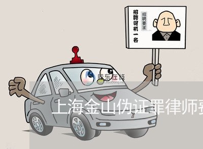 上海金山伪证罪律师费用多少