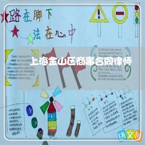 上海金山区商事合同律师/2023041049280