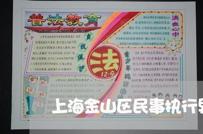 上海金山区民事执行异议律师/2023032150582
