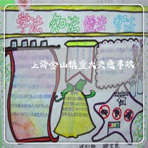上海金山镇重大交通事故/2023041069493 上海金山镇重大交通事故/2023041069493