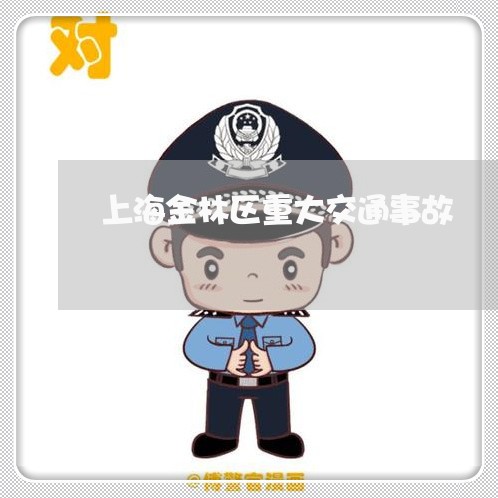 上海金林区重大交通事故/2023021530481 上海金林区重大交通事故/2023021530481