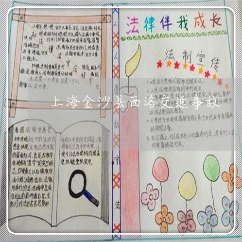 上海金沙县西洛交通事故/2023021534857 上海金沙县西洛交通事故/2023021534857