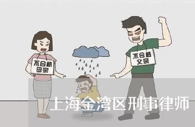 上海金湾区刑事律师/2023032417249