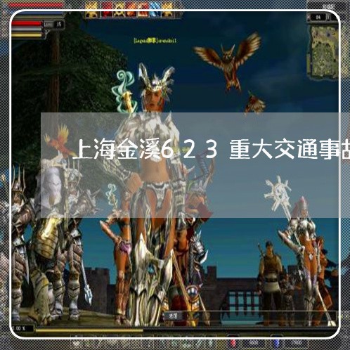 上海金溪623重大交通事故/2023032114936
