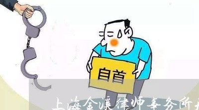 上海金溪律师事务所刑事/2023041007926