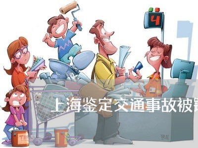 上海鉴定交通事故被罚款/2023021460261 上海鉴定交通事故被罚款/2023021460261