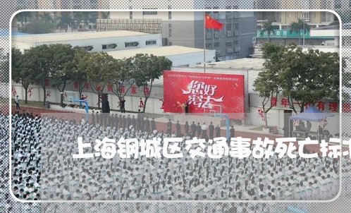 上海钢城区交通事故死亡标准/2023032149379