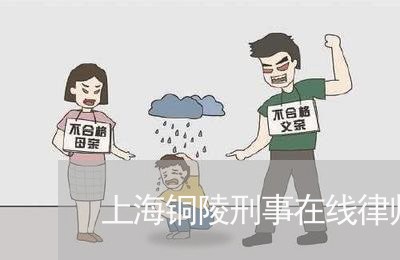 上海铜陵刑事在线律师多少钱/2023032182714 上海铜陵刑事在线律师多少钱/2023032182714