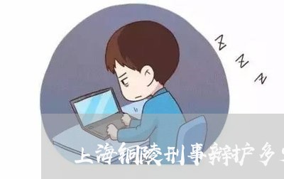 上海铜陵刑事辩护多少钱/2023021467381 上海铜陵刑事辩护多少钱/2023021467381