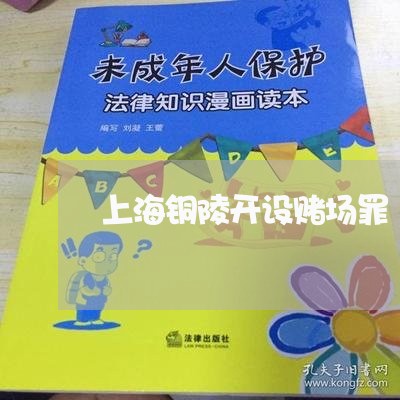 上海铜陵开设赌场罪/2023032425070 上海铜陵开设赌场罪/2023032425070