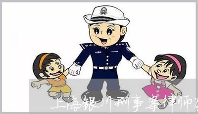 上海银川刑事案律师咨询/2023041064719