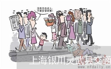 上海银川灵武县交通事故/2023021560504 上海银川灵武县交通事故/2023021560504