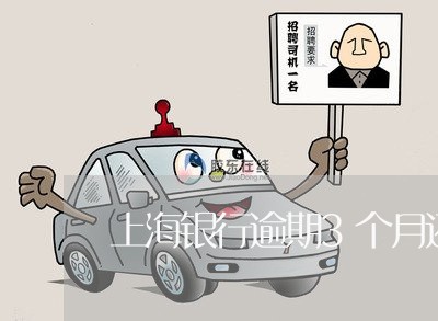 上海银行逾期3个月还不了 上海银行逾期3个月还不了