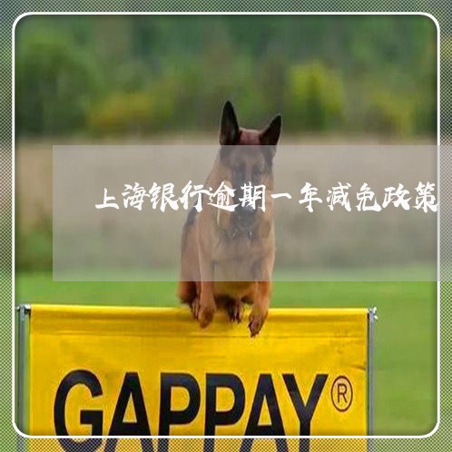 上海银行逾期一年减免政策 上海银行逾期一年减免政策