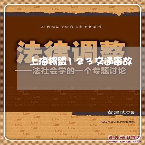 上海锡盟123交通事故/2023021420371 上海锡盟123交通事故/2023021420371