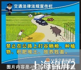 上海锦屏211省道交通事故/2023032293604 上海锦屏211省道交通事故/2023032293604