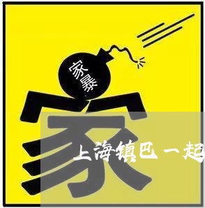 上海镇巴一起交通肇事案/2023021439380 上海镇巴一起交通肇事案/2023021439380