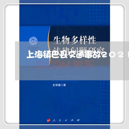 上海镇巴县交通事故2021/2023032283725
