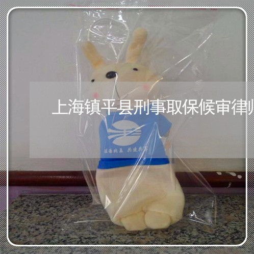 上海镇平县刑事取保候审律师/2023032202827