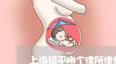 上海镇平哪个律所律师好/2023041050380