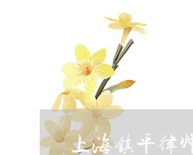 上海镇平律师事务所电话/2023021515959 上海镇平律师事务所电话/2023021515959