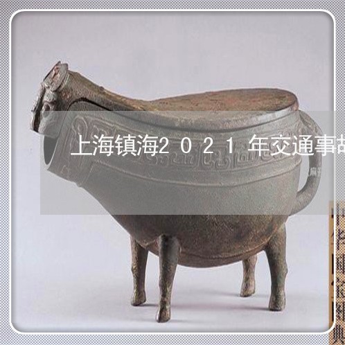 上海镇海2021年交通事故/2023032281593 上海镇海2021年交通事故/2023032281593