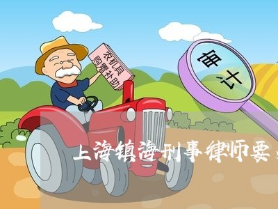 上海镇海刑事律师要多久/2023021489492 上海镇海刑事律师要多久/2023021489492