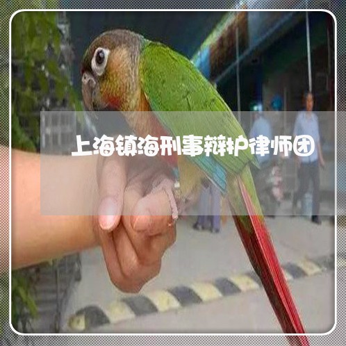 上海镇海刑事辩护律师团/2023021454258 上海镇海刑事辩护律师团/2023021454258