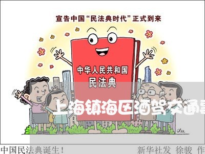 上海镇海区酒驾交通事故/2023021414840 上海镇海区酒驾交通事故/2023021414840
